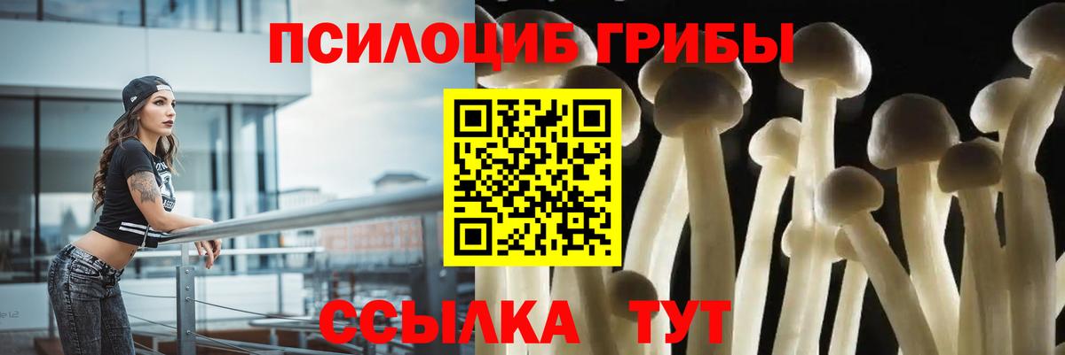 Псилоцибиновые грибы Magic Shrooms  Вход с VPN  Краснотурьинск 